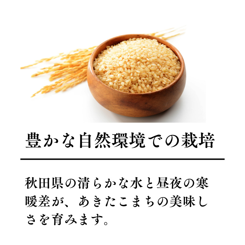 令和7年産 あきたこまち 白米 約27kg 秋田県産 湯沢市産 新米 お米 白米 国産 ご飯【BARUバイオジャパン吉村】[Q6-9901]