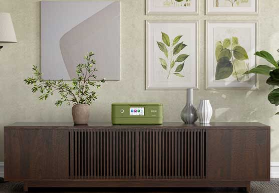 EPSON Colorio インクジェットプリンター EP-887AP ピスタチオグリーン インクジェット複合機 インクジェット エプソン ふるさと納税 プリンター コピー機 印刷 人気 ランキング 【(株)たなか】[F14113]