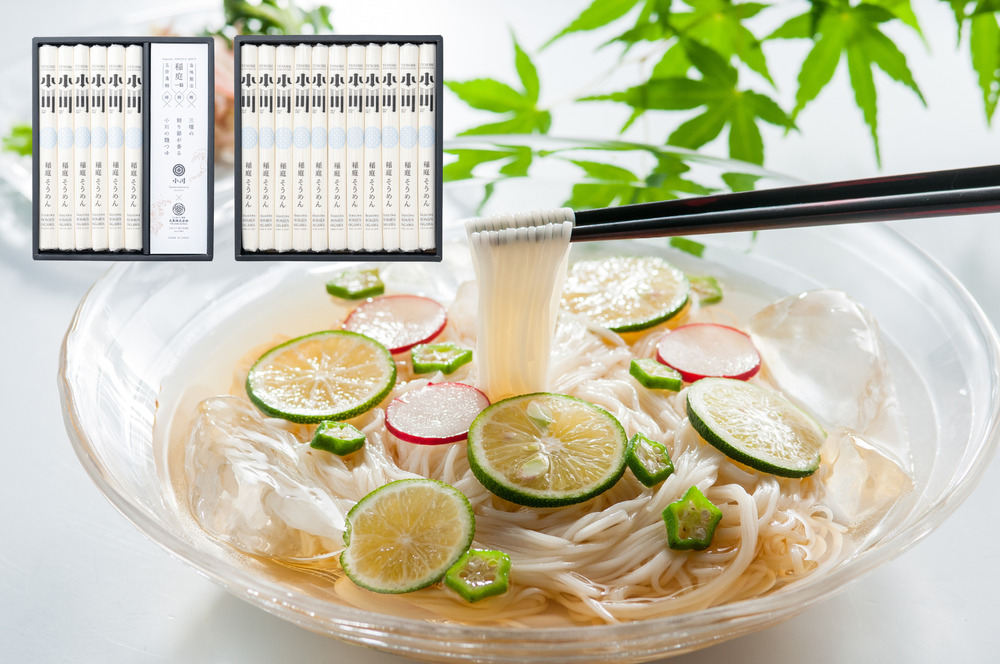 小川の稲庭そうめん VST-30・VS-40セット【稲庭うどん小川】[H0504]