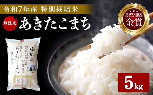 【令和7年産米】あきたこまち 5kg 無洗米 白米 農家直送 受賞歴多数 特別栽培米 自然由来の漢方栽培 【渡部 浩見】[B8-2101]