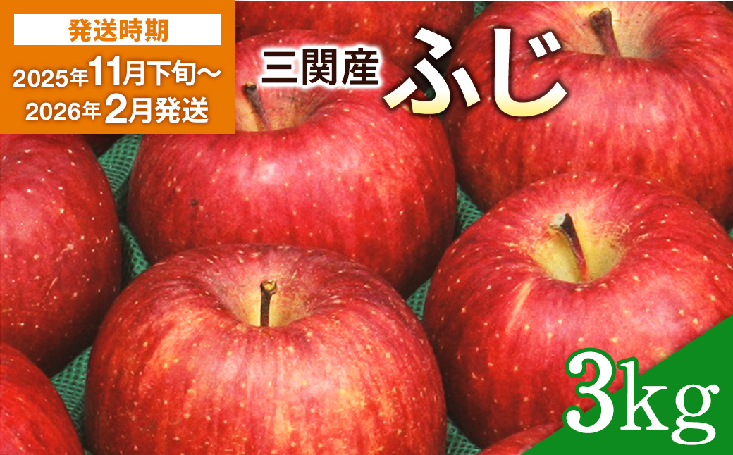【2025年11月下旬～2026年2月発送】三関産 りんご ふじ 3kg サンふじ 濃厚 で ジューシー ふるさと納税 りんご 旬 ふじりんご 果物 フルーツ 秋田県 三関【三関ゆめ蔵ぶ直売所】[L2604]
