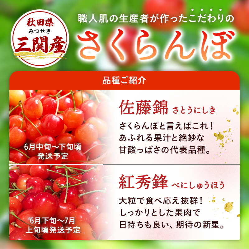 令和8年度産 さくらんぼ（佐藤錦） 訳あり 1kg M～2Lサイズ混合 市場価値の高い 三関産 さくらんぼ 訳あり フルーツ 果物 お取り寄せ 秋田 湯沢市 期間限定 サクランボ 数量限定 【藤山果樹園】[B6-2802]