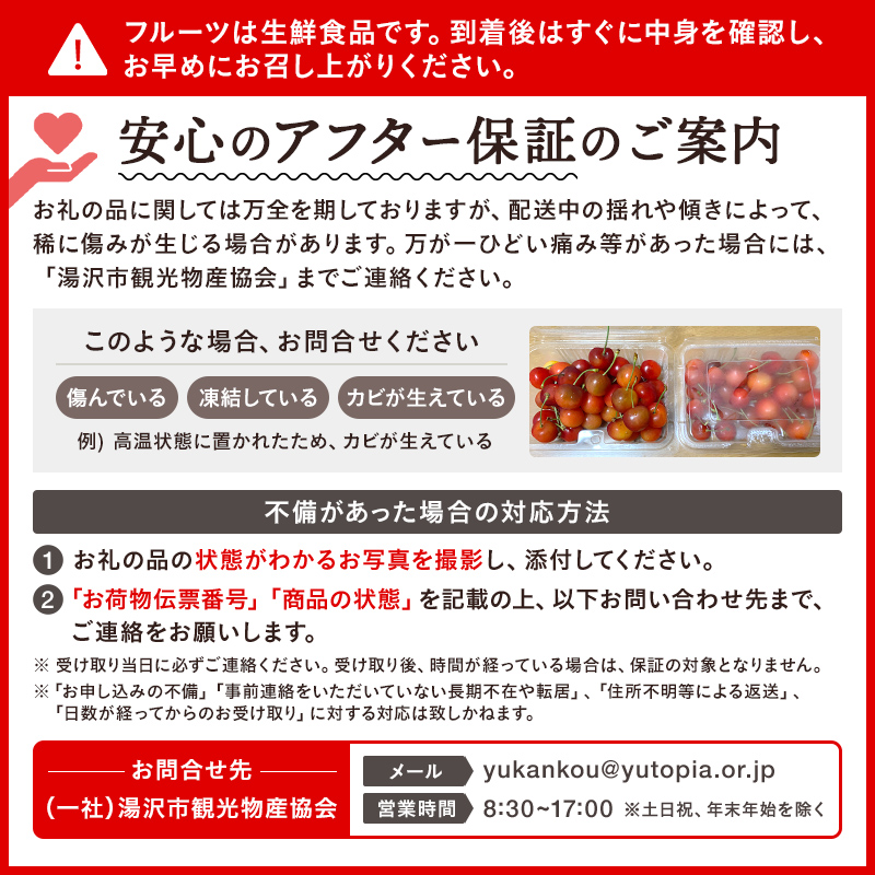 職人が本気で作ったこだわりのさくらんぼ！秋田県三関（みつせき）産【令和8年産先行予約】 さくらんぼ 紅秀峰2Lサイズ (500g×1P) 冷蔵 朝採れ 産地直送 【6月下旬から発送開始予定】 ふるさと納税 さくらんぼ 果物 [B6-3203]