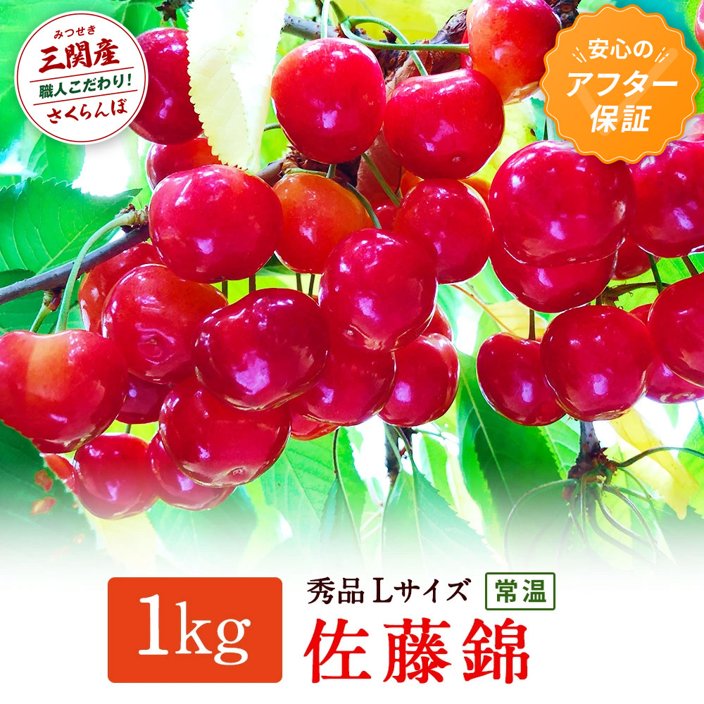 ＼朝採れ 産地直送／ R8年度産 佐藤錦 秀L 1kg 市場価値の高い 三関産 さくらんぼ こだわりの【常温】でお届け フルーツ 果物 お取り寄せ 秋田 湯沢市 期間限定 サクランボ 数量限定  【奥山果樹園】[H1-7801]
