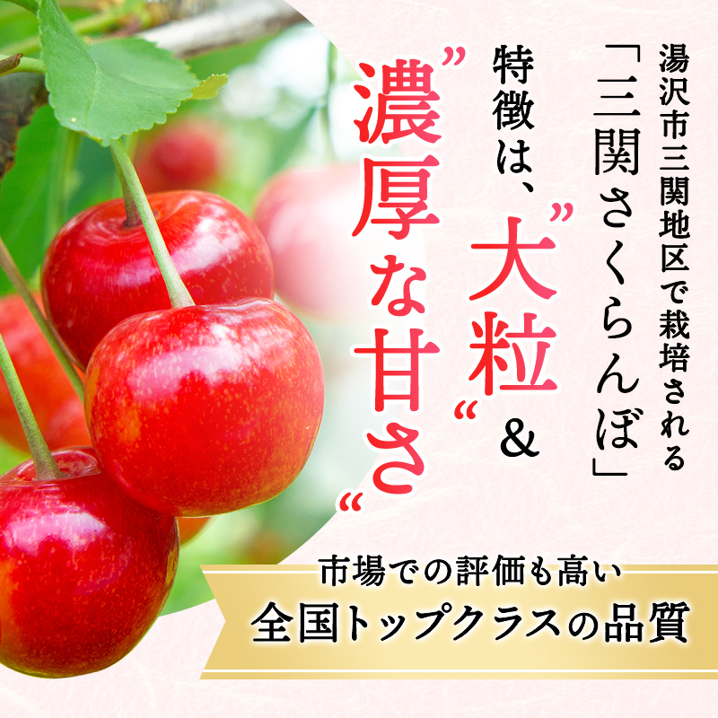職人が本気で作ったこだわりのさくらんぼ！秋田県三関（みつせき）産【令和8年産先行予約】 さくらんぼ 紅秀峰2Lサイズ (500g×1P) 冷蔵 朝採れ 産地直送 【6月下旬から発送開始予定】 ふるさと納税 さくらんぼ 果物 [B6-3203]