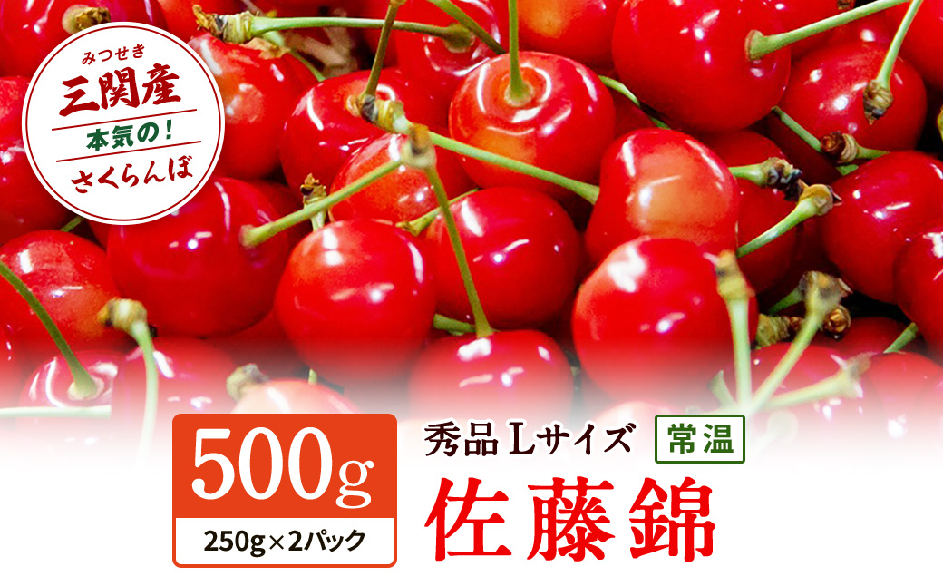 職人が本気で作ったこだわりのさくらんぼ！秋田県三関（みつせき）産【令和8年産先行予約】 さくらんぼ 佐藤錦 秀品 Lサイズ (250g×2P) 常温 朝採れ 産地直送 【6月中旬から発送開始予定】 ふるさと納税 さくらんぼ 果物 [B3-3201]