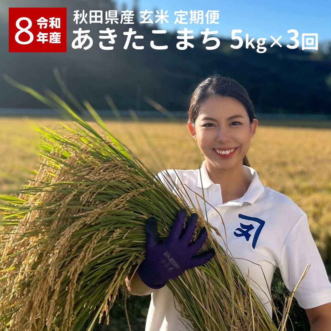 《定期便3ヶ月》令和8年産 秋田県産 あきたこまち 5kg 玄米【(株)鈴木又五郎商店】[C4-2301]