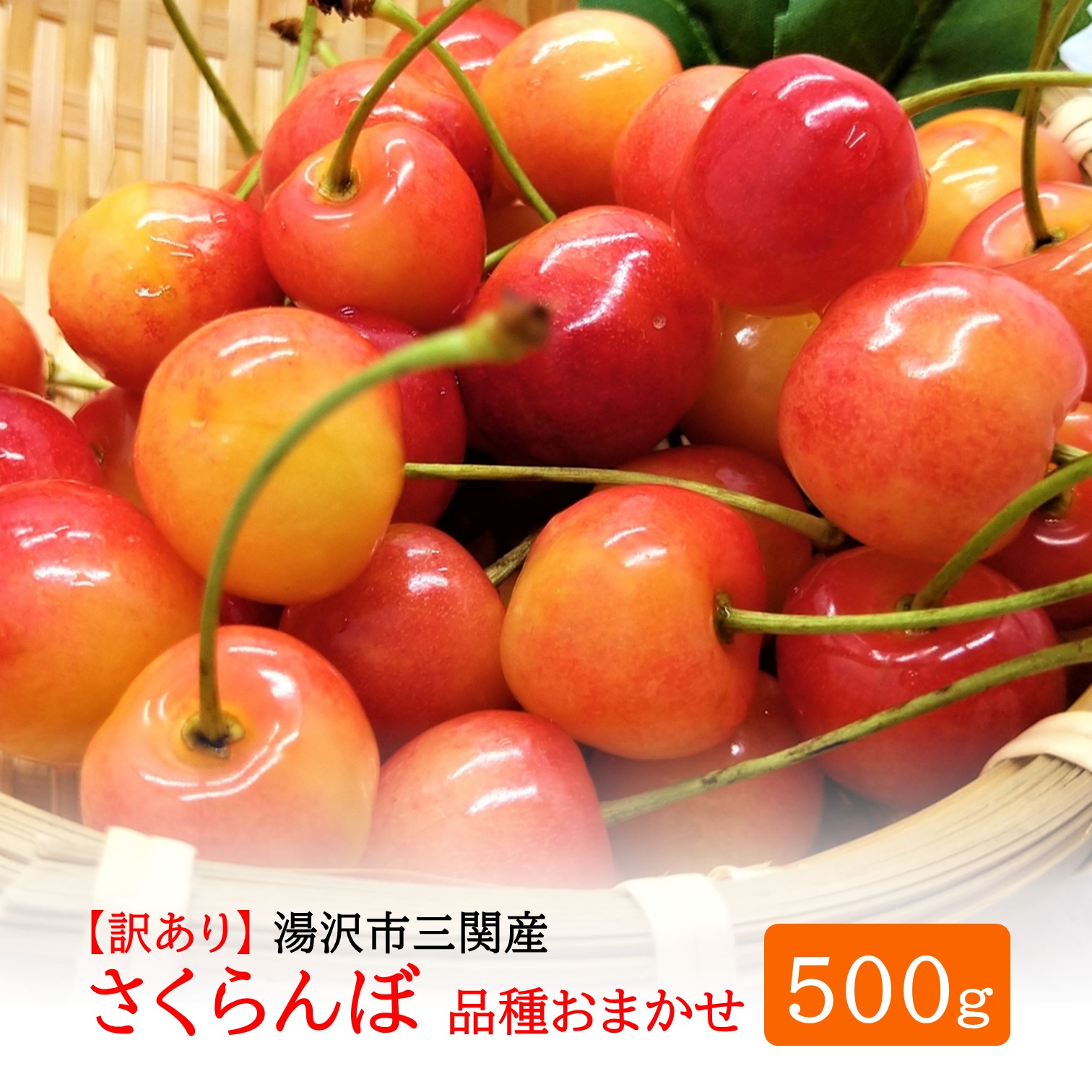 三関産 さくらんぼ 訳あり 500g（250g×2）佐藤錦 紅秀峰 サイズ混合   【藤利果樹園】[B14605]