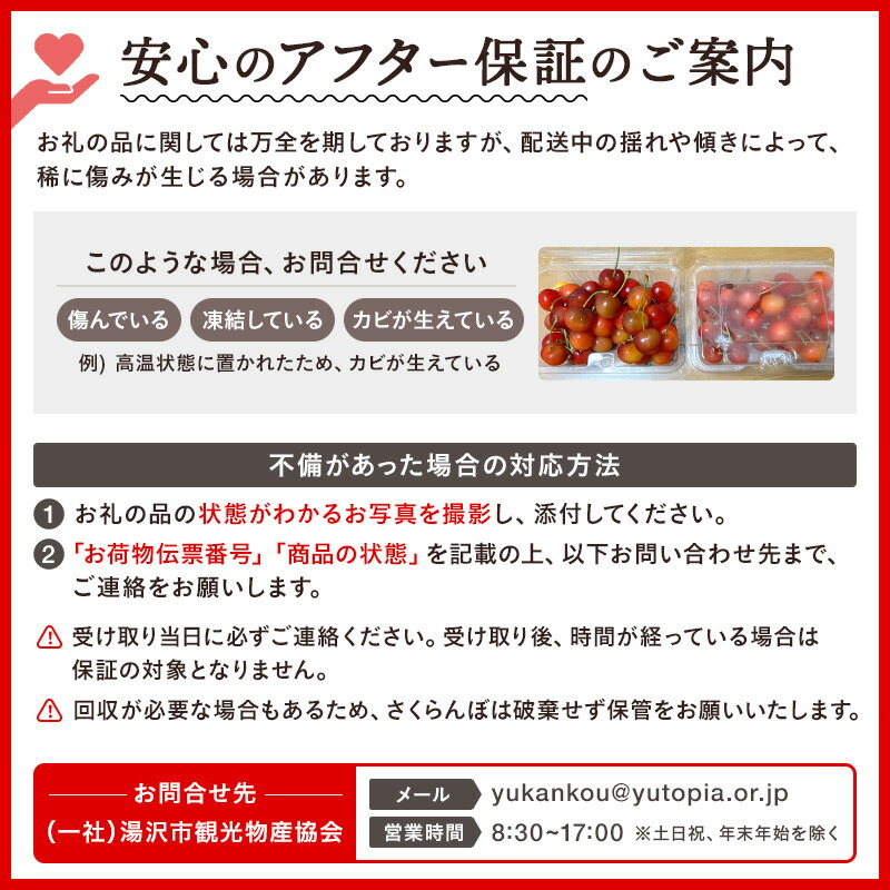 三関産 さくらんぼ 訳あり 500g（250g×2）佐藤錦 紅秀峰 サイズ混合   【藤利果樹園】[B14605]