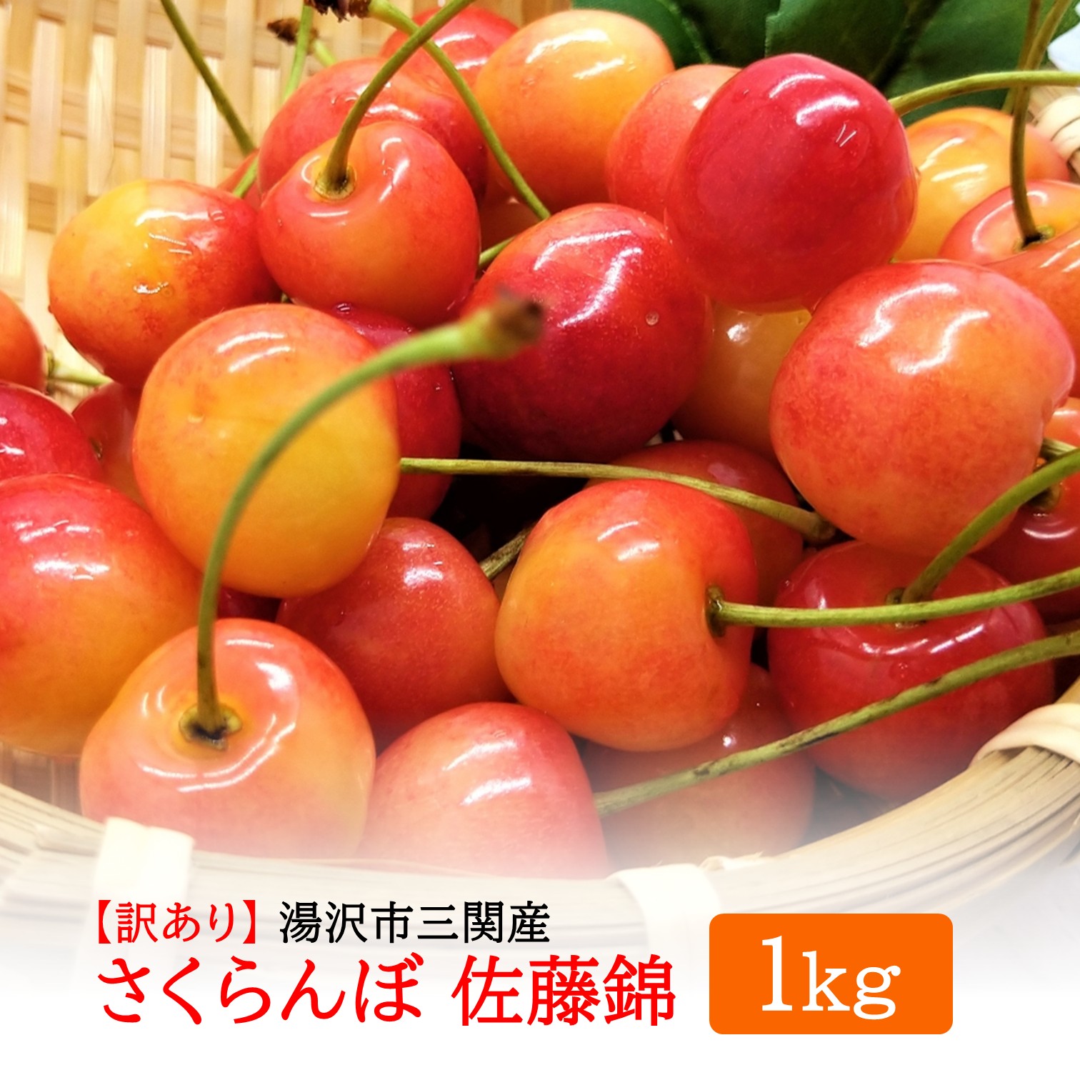 令和8年度産 さくらんぼ（佐藤錦） 訳あり 1kg M～2Lサイズ混合 市場価値の高い 三関産 さくらんぼ 訳あり フルーツ 果物 お取り寄せ 秋田 湯沢市 期間限定 サクランボ 数量限定 【藤山果樹園】[B6-2802]