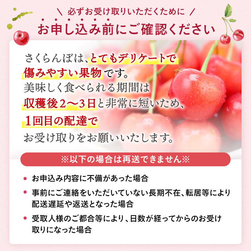 令和8年度産 期間限定！旬の味覚！朝採り「三関産佐藤錦」秀L以上 250g入り×4パック さくらんぼ 【常温でお届け】 家庭用 フルーツ 果物 お取り寄せ 秋田 湯沢市 期間限定 サクランボ  【奥山農園】[B9-10401]