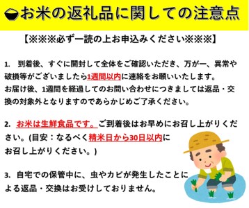 【米農家直送】特Aランク厳選秋田県産あきたこまち【白米10kg】[H4-2302]