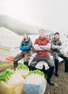 ＼TV青空レストランに登場／ 三関産 せり 5束 生産者直送 秋田県伝統野菜 ご自宅で絶品の せり鍋 や 天ぷら が楽しめる ふるさと納税 せり 鍋 ふるさと 人気 ランキング 【（株）CRAS】[M10901]