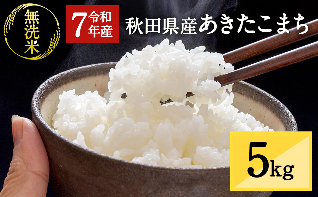 令和7年産 秋田県湯沢市産 あきたこまち 無洗米 5kg ふるさと納税 秋田 米 あきたこまち お米 【三関ファーム】[B4-15702]