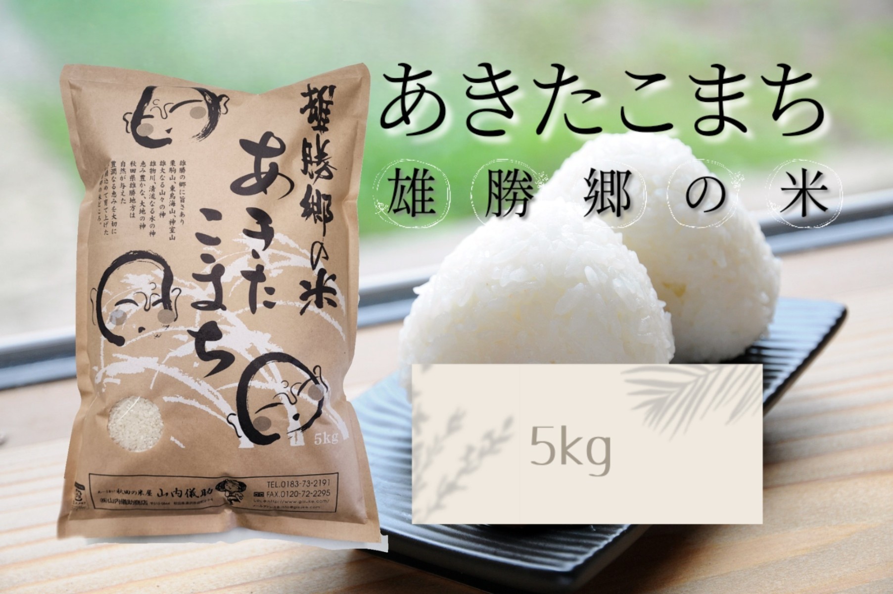 令和7年産 あきたこまち 雄勝郷の米 白米5kg ふるさと納税 秋田 米 あきたこまち お米【（株）山内儀助商店】[B6-2001]