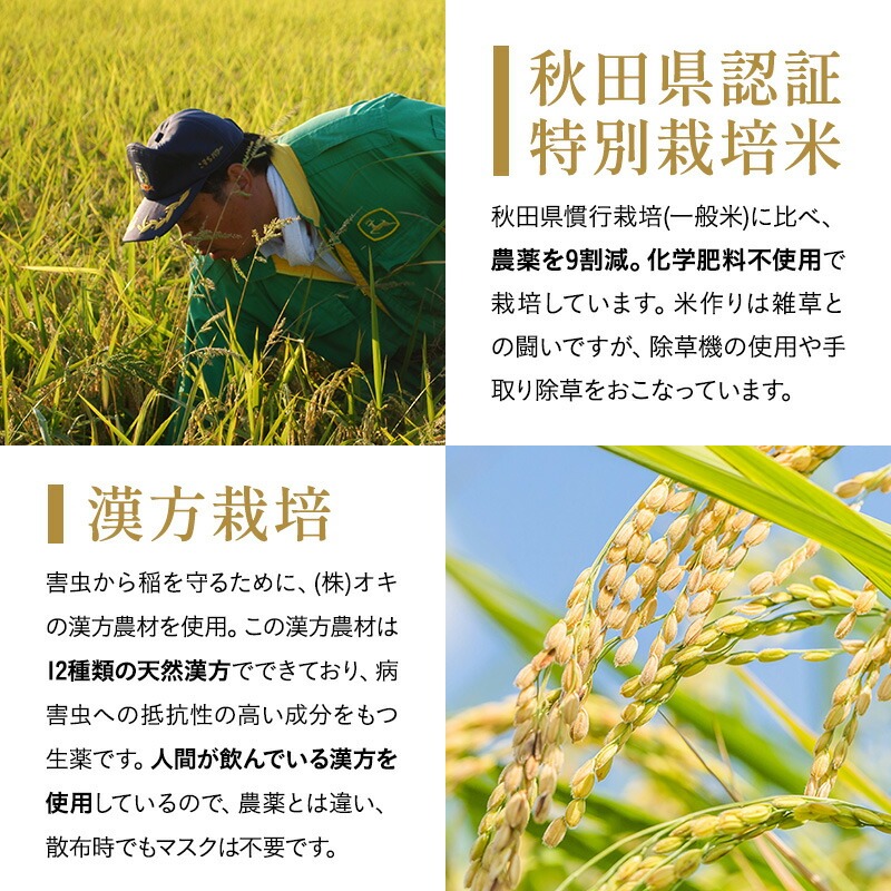 令和7年産米 冷めても美味しい玄米 特別栽培米 金のいぶき 2kg 玄米 米 農家直送 受賞歴多数 ＼自然由来の漢方栽培／ ふるさと 人気 ランキング【渡部 浩見】[B2105]