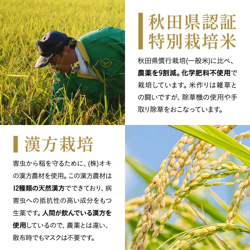 【定期便10ヶ月】【令和7年産】特別栽培米 あきたこまち 精米 5kg【渡部 浩見】[F2120]