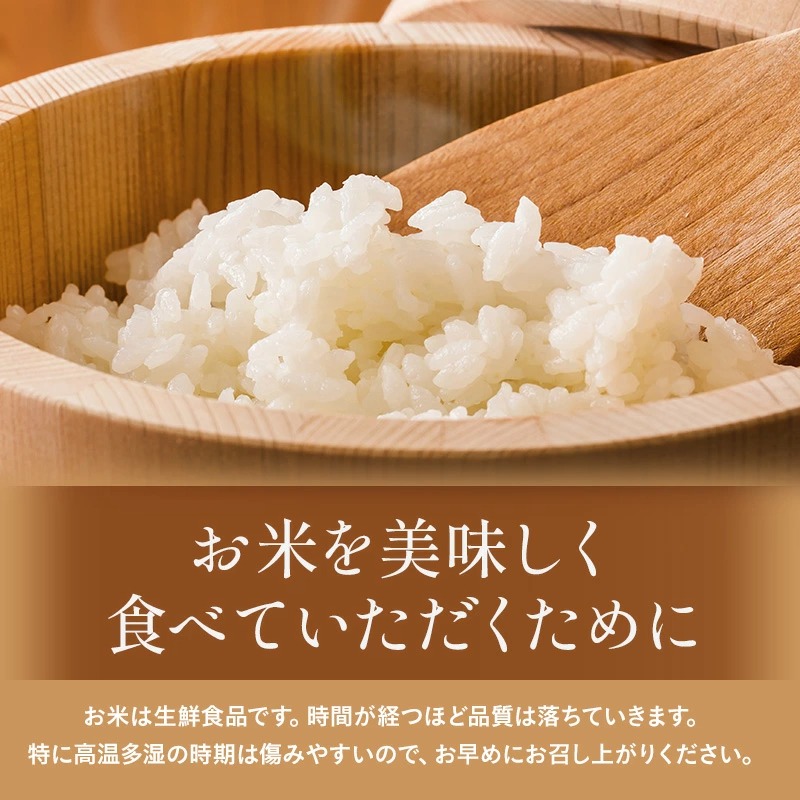 【定期便10ヶ月】【令和7年産】特別栽培米 あきたこまち 精米 5kg【渡部 浩見】[F2120]