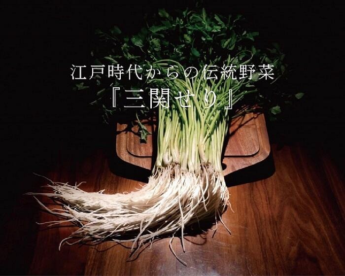 ＼TV青空レストランに登場／ 三関産 せり 5束 生産者直送 秋田県伝統野菜 ご自宅で絶品の せり鍋 や 天ぷら が楽しめる ふるさと納税 せり 鍋 ふるさと 人気 ランキング 【（株）CRAS】[M10901]