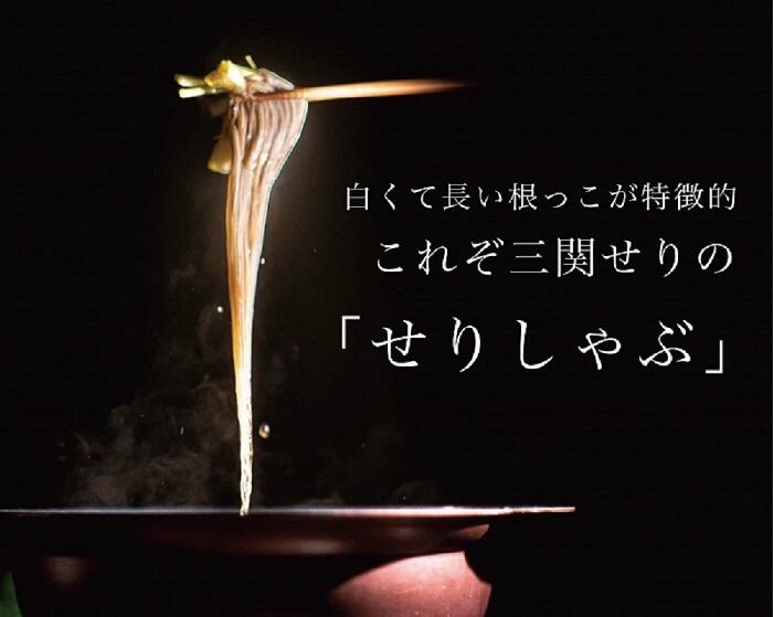 ＼TV青空レストランに登場／ 三関産 せり 5束 生産者直送 秋田県伝統野菜 ご自宅で絶品の せり鍋 や 天ぷら が楽しめる ふるさと納税 せり 鍋 ふるさと 人気 ランキング 【（株）CRAS】[M10901]