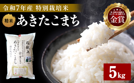 【令和7年産米】あきたこまち 5kg 精米 白米 農家直送 受賞歴多数 特別栽培米 自然由来の漢方栽培【渡部 浩見】[B7-2101]
