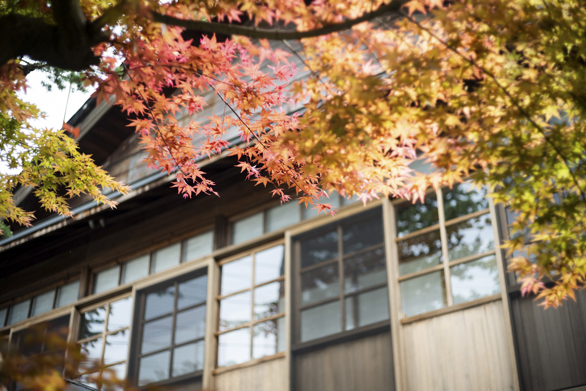古民家をリノベーションした宿泊施設 草木ももとせ1泊2食付き2名様宿泊券【(有)アシスト實務工房】[F15401]