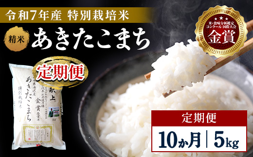 【定期便10ヶ月】【令和7年産】特別栽培米 あきたこまち 精米 5kg【渡部 浩見】[F2120]