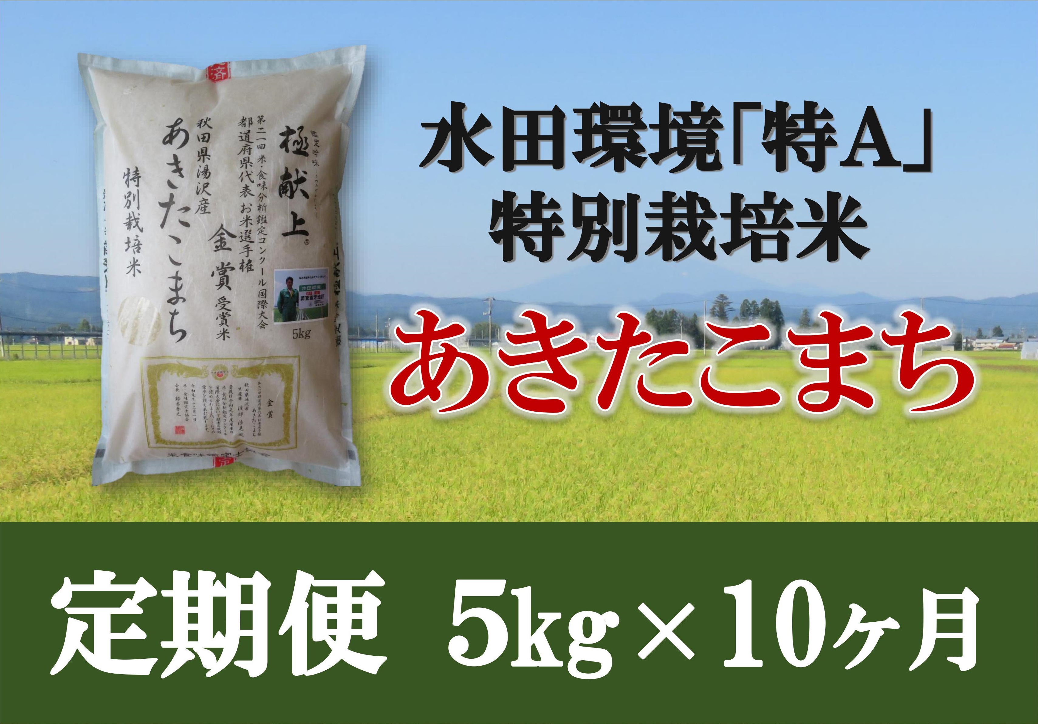 特別栽培米あきたこまち精米5kg定期便(10ヶ月)[F2104]