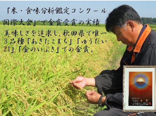 【冷めても美味しい玄米】特別栽培米　金のいぶき5kg[B5-2101]
