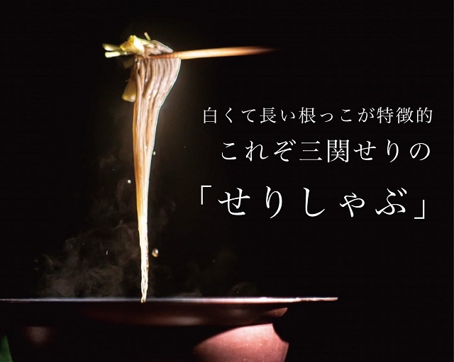 ＼TV青空レストランに登場／ 贅沢 三関産 せり鍋セット 3～4人前 (せり1kg 比内地鶏鍋つゆ 稲庭うどん 生麺 ) 生産者直送 ご自宅で絶品の せりしゃぶ が楽しめる せり鍋 ふるさと納税 せり 鍋 鶏 ふるさと 人気 ランキング [B7-10901]