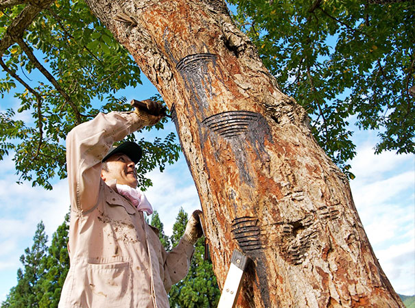aeru 川連漆器のこぼしにくい器 平皿 赤紅【(株)和える】[D15602]