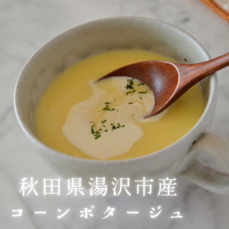 穂のハンバーグ＆秋田産野菜スープセット【株式会社佐藤縫製】[B6-13701]