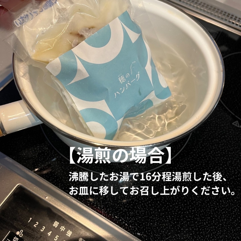 穂のハンバーグ＆秋田産野菜スープセット【株式会社佐藤縫製】[B6-13701]