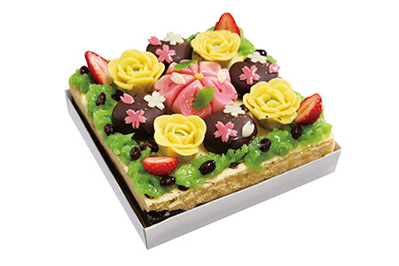 手作り和菓子のケーキ【お菓子処 やな田】[B6-8901]