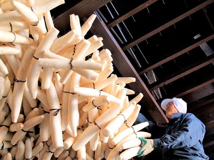 雄勝野きむらや いぶりがっこ 5本セット たくあん 沢庵 燻製 いぶり 大根 漬物 【(株)雄勝野きむらや】[B2-4301]