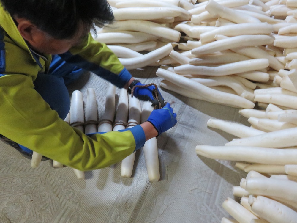 いぶり大根漬け 1本漬け×3本 農薬・添加物不使用【渡部 浩見】[B2-2101]