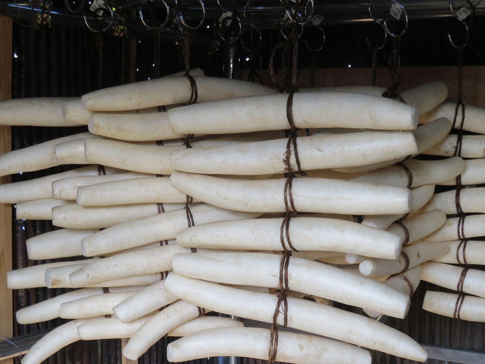 いぶり大根漬け 1本漬け×3本 農薬・添加物不使用【渡部 浩見】[B2-2101]