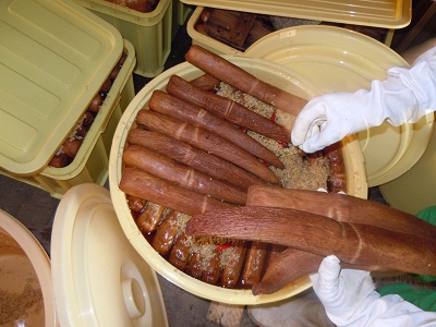 いぶり大根漬け 1本漬け×3本 農薬・添加物不使用【渡部 浩見】[B2-2101]