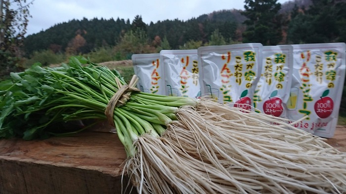 【定期便】ゆざわ四季の便り～三関からあなたへ～さくらんぼ 三関産佐藤錦 枝豆 三関産ふじ100％リンゴジュース 三関セリ【（株）CRAS】[D6-10901]