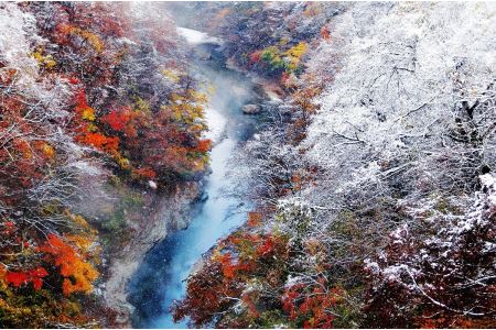 阿部旅館 宿泊券 1名様 ステーキプラン【(有)阿部旅館】[I5-7101]