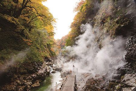 阿部旅館 宿泊券 1名様 ステーキプラン【(有)阿部旅館】[I5-7101]