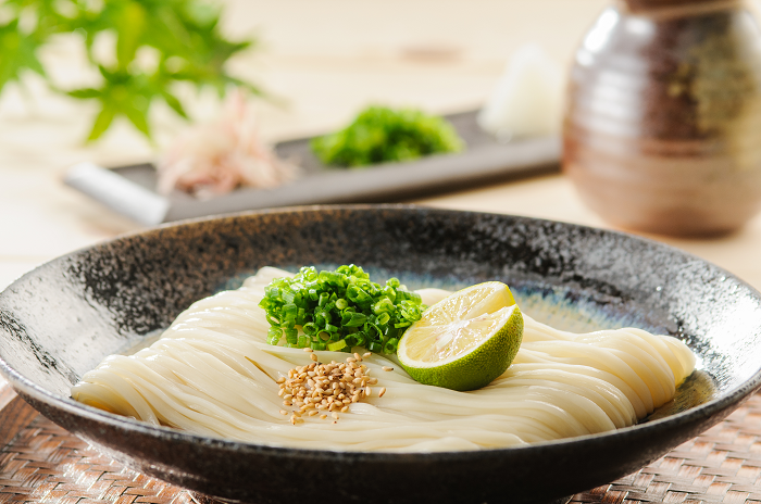 小川の稲庭うどん V-40【稲庭うどん小川】[B1-0501]