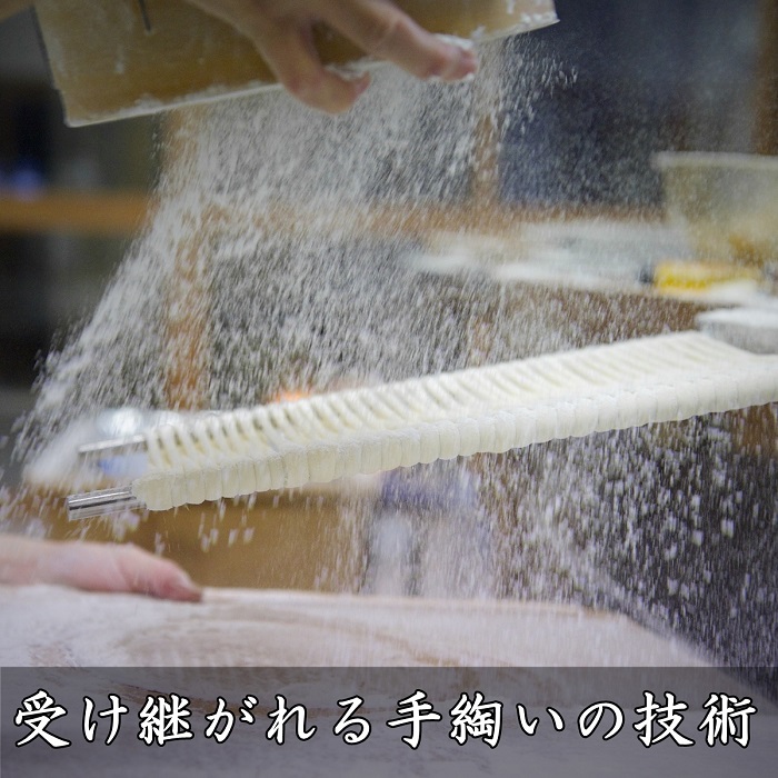 稲庭うどん 業務用１kg×１０袋【稲庭絹女うどん】[D0201]