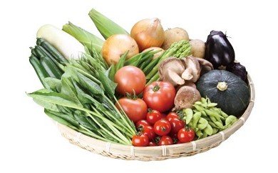 朝採り新鮮野菜セット[小町の郷 菜菜こまち直売所][B23-2701]