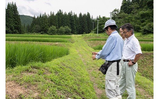 【令和7年産米】小野小町の郷 特別栽培米 あきたこまち 5kg×2袋 計10kg ふるさと納税 秋田 米 あきたこまち お米【遠田米穀店】[C3-2202]