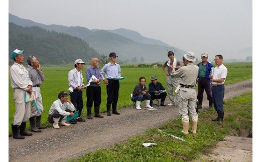 【令和7年産米】小野小町の郷 特別栽培米 あきたこまち 5kg×1袋 ふるさと納税 秋田 米 あきたこまち お米【遠田米穀店】[B9-2202]