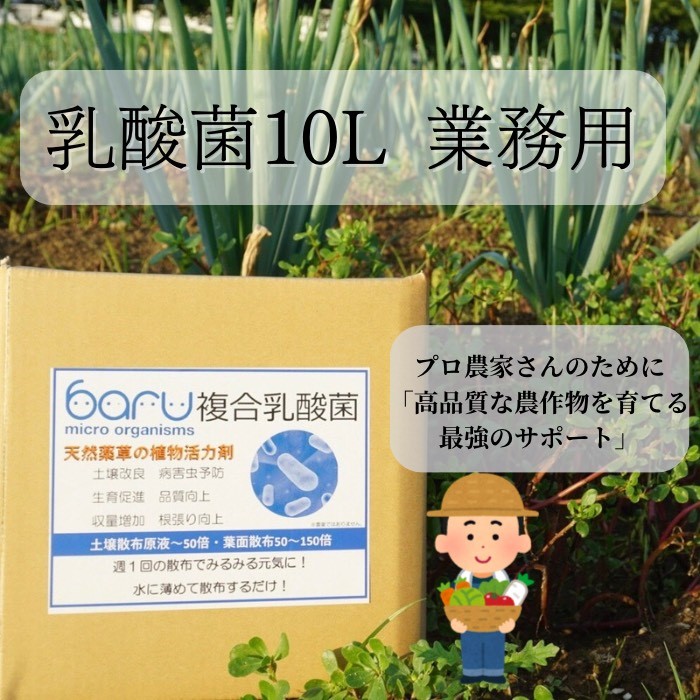 環境に優しい農業用乳酸菌 BARU乳酸菌液 10L 業務用【BARU バイオジャパン吉村株式会社】[H9904]