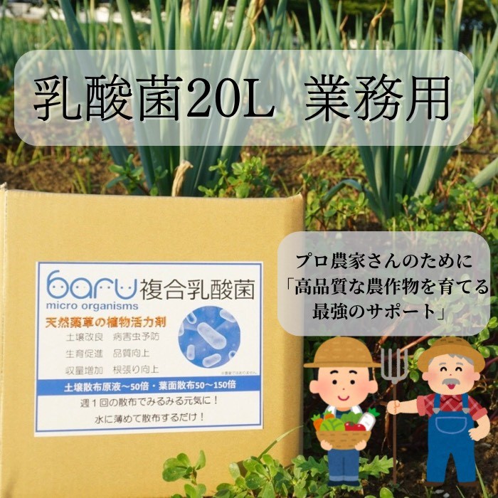 環境に優しい農業用乳酸菌 BARU乳酸菌液 20L 業務用【BARU バイオジャパン吉村株式会社】[N9901]