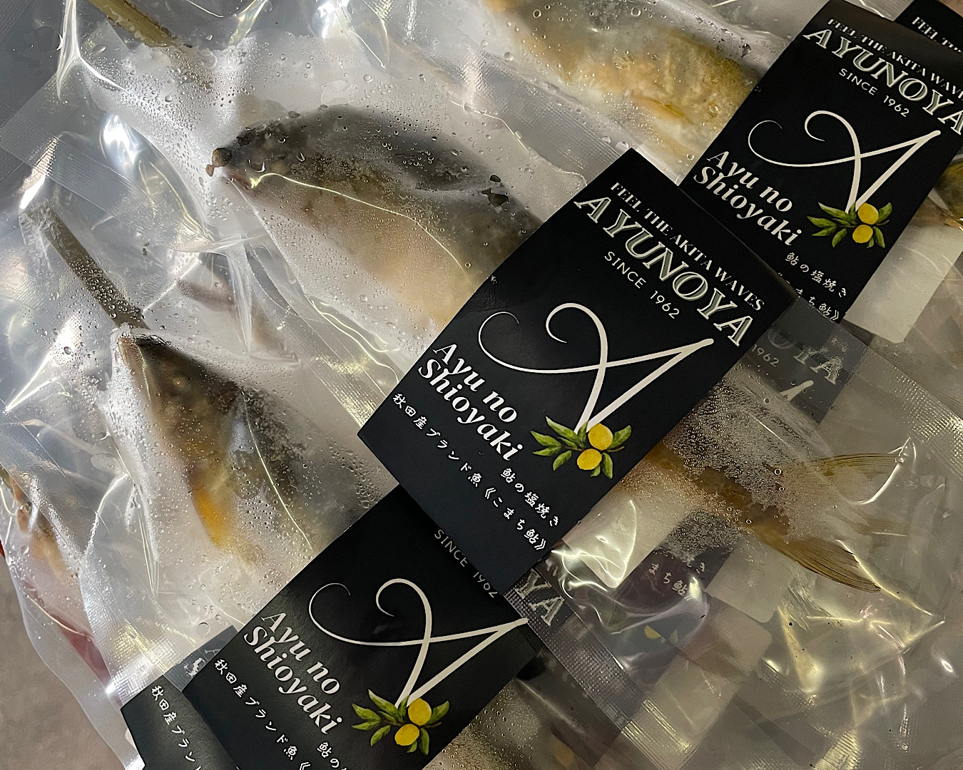 温めるだけで名店の味《こまち鮎》鮎の塩焼き 10本【鮎乃家】[H4-4201]