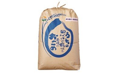 【令和5年産米】特別栽培米　漢方栽培　精米20kg[C2101]